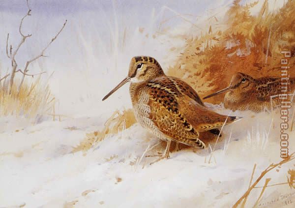Winter Woodcock painting - Archibald Thorburn Winter Woodcock art painting